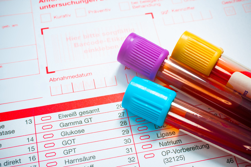 Umfangreiche Laborleistungen (vor Ort und extern)